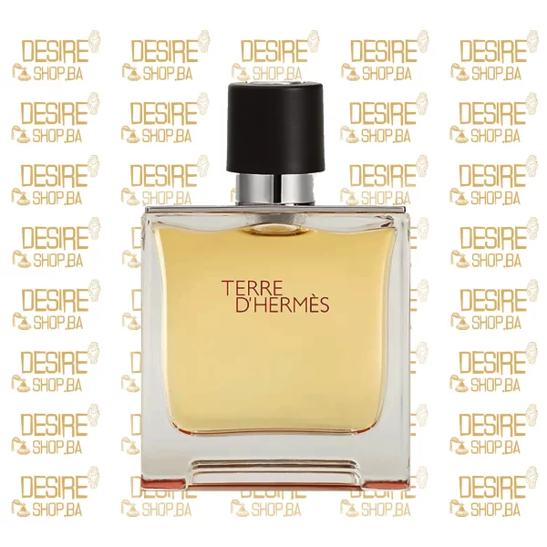 Hermès Terre d’Hermès